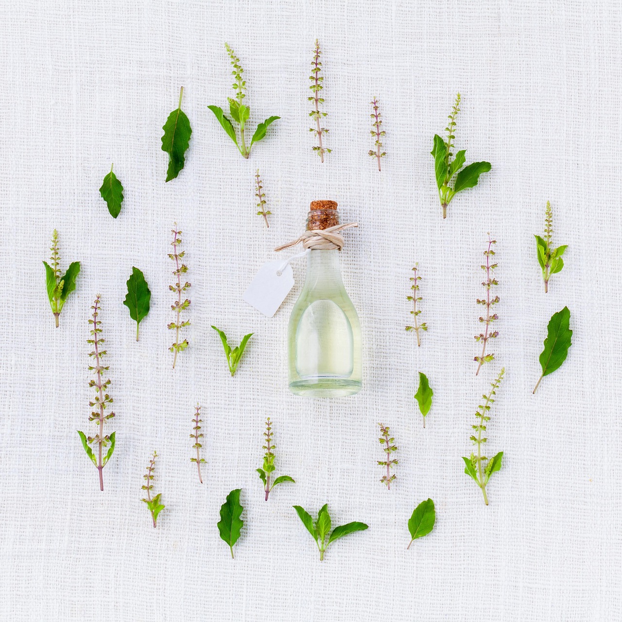 Signature Blend: Southern Coast, Our Manuka, Lavender, and Cedarwood Recipe